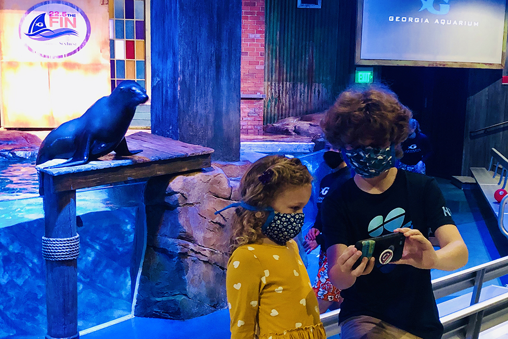 Visit the Georgia Aquarium on Your Atlanta Staycation