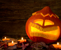 Blue cross blue shield dental insurance alabama