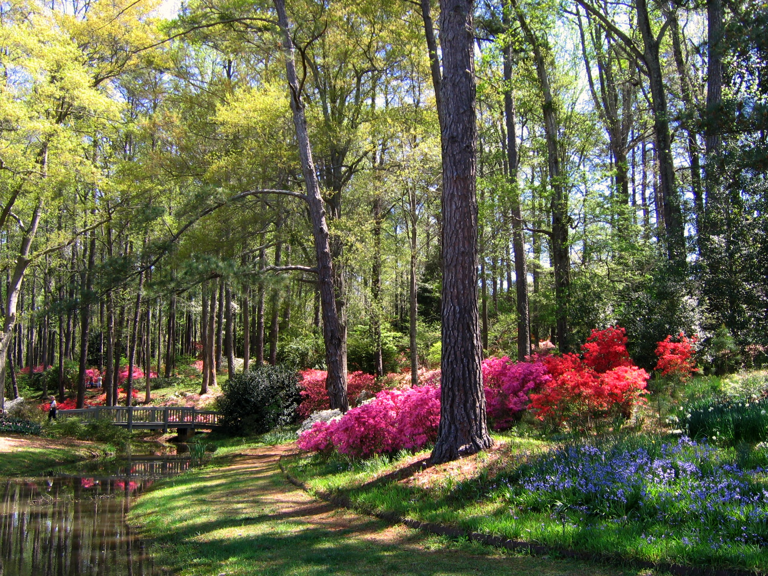 00-20161109_early-april-in-georgia-s-callaway-gardens.jpg
