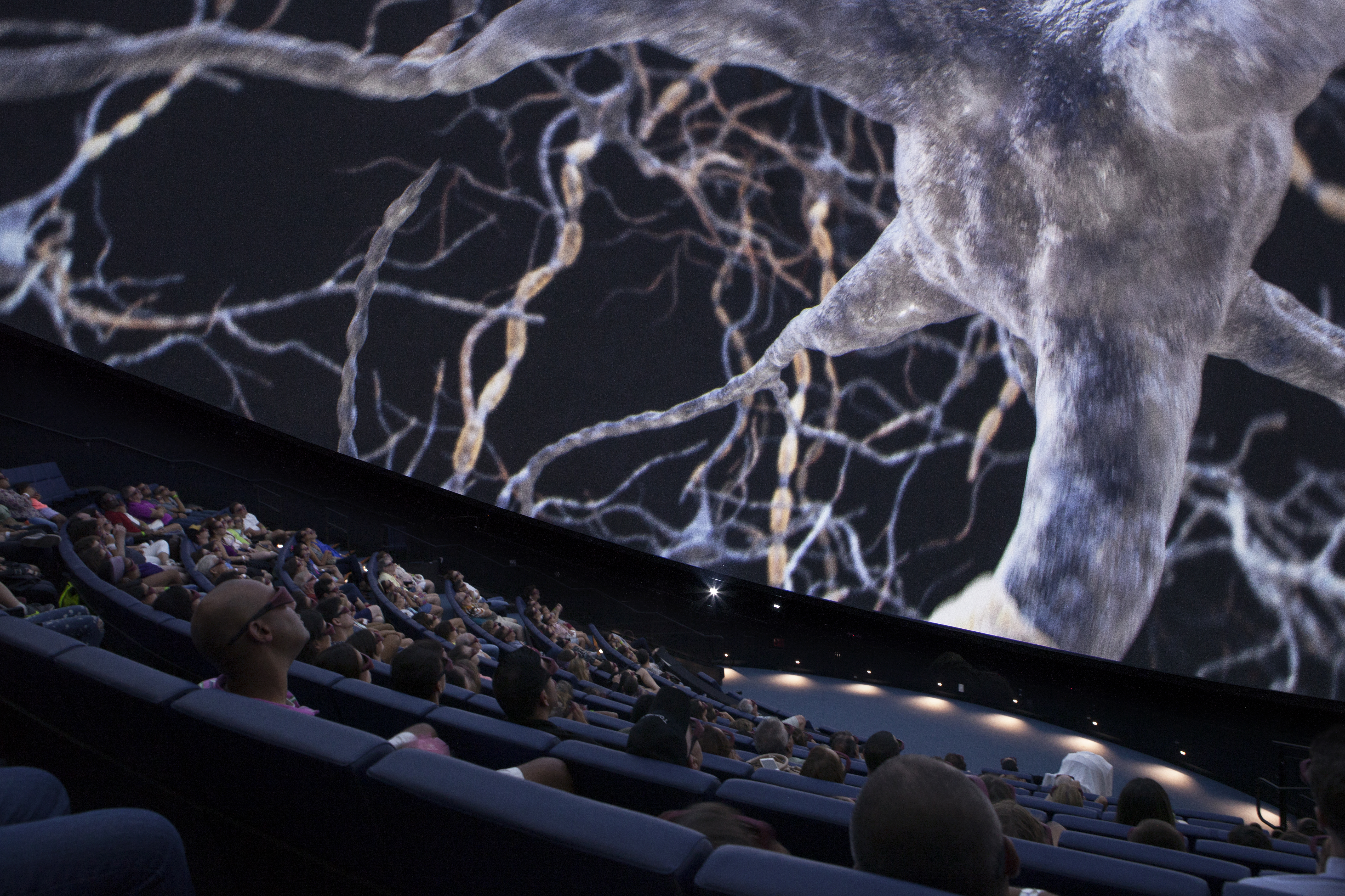 Miami-Frost Science Planetarium-Photo by Interspectral-credit Valentin Mellstrom.jpg