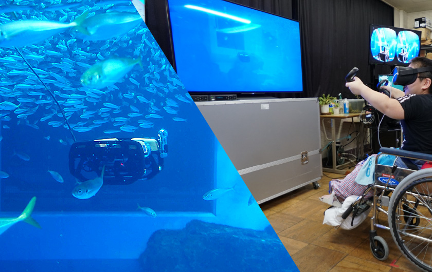 5g時代に向けた遠隔教育 水族館と院内学級をつなぎvrと水中ドローンで体験学習 Fujitsu Journal 富士通ジャーナル