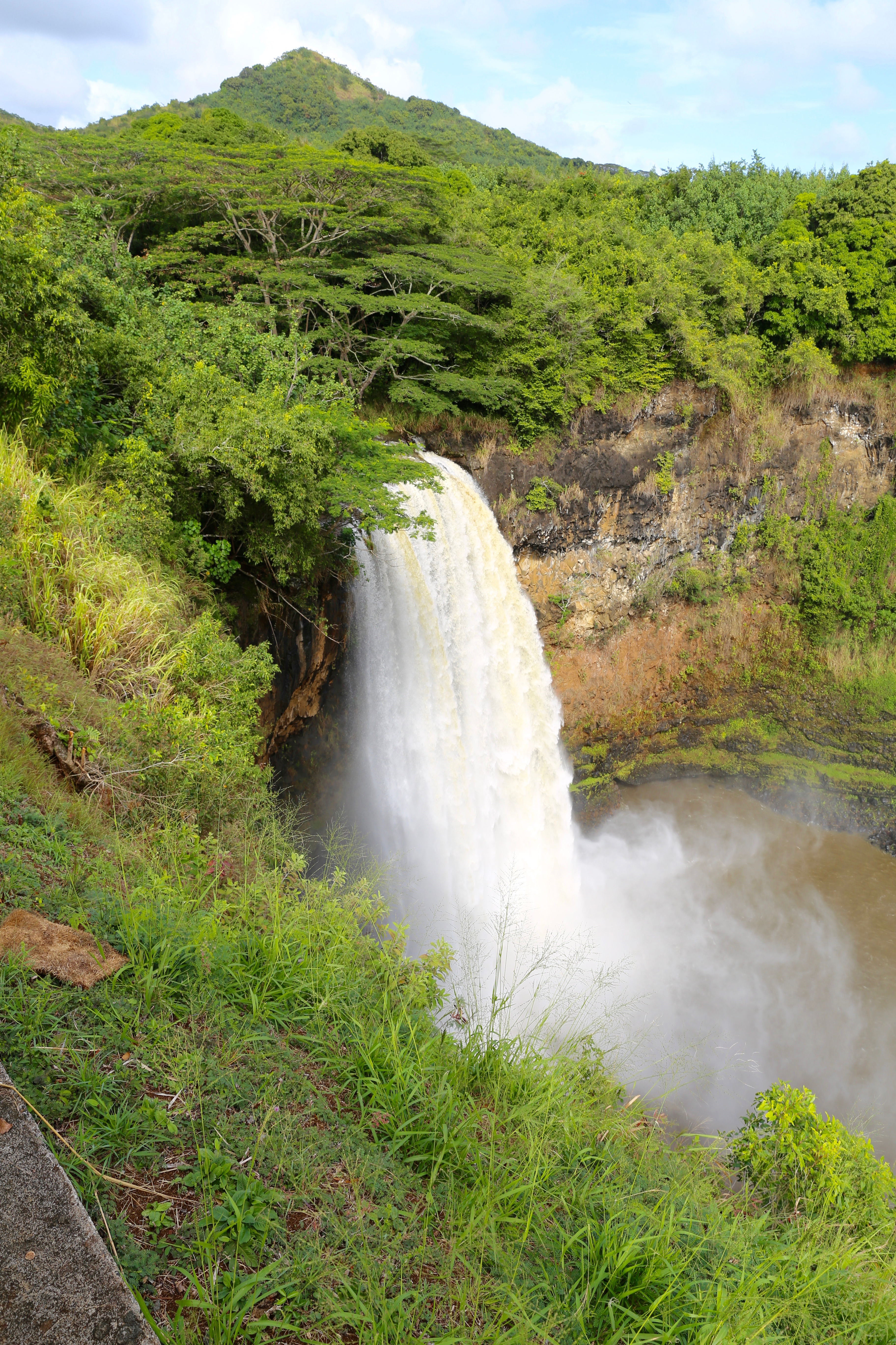 view from top of waterfall in jungle