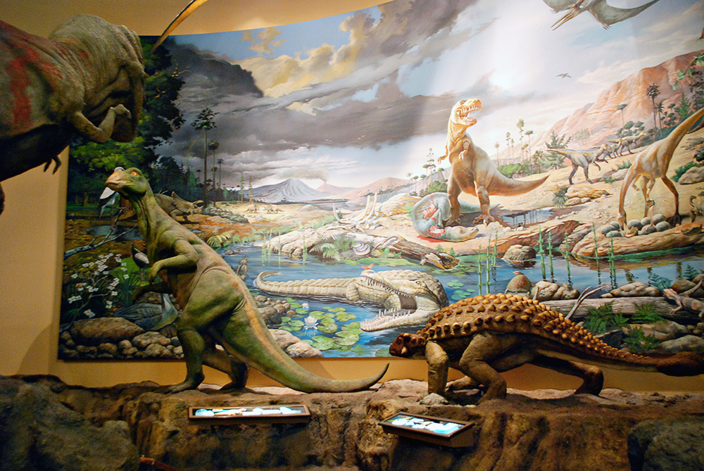 Fernbank Museum of Natural History