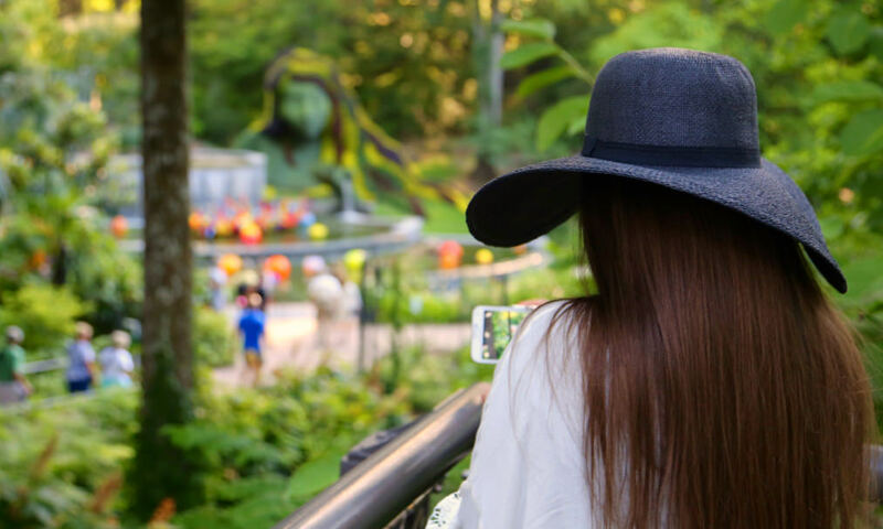 The Atlanta Botanical Garden is the perfect setting for an outdoor date. (JR P, flickr)