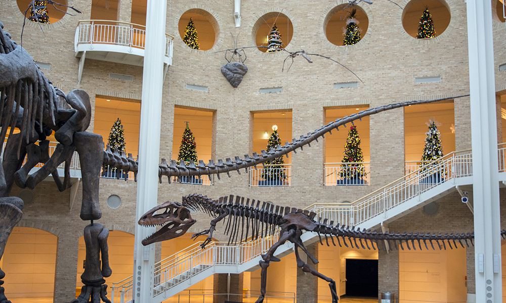 Winter Wonderland_Fernbank Museum of Natural History_Atlanta Things to do for the holidays with kids.jpg