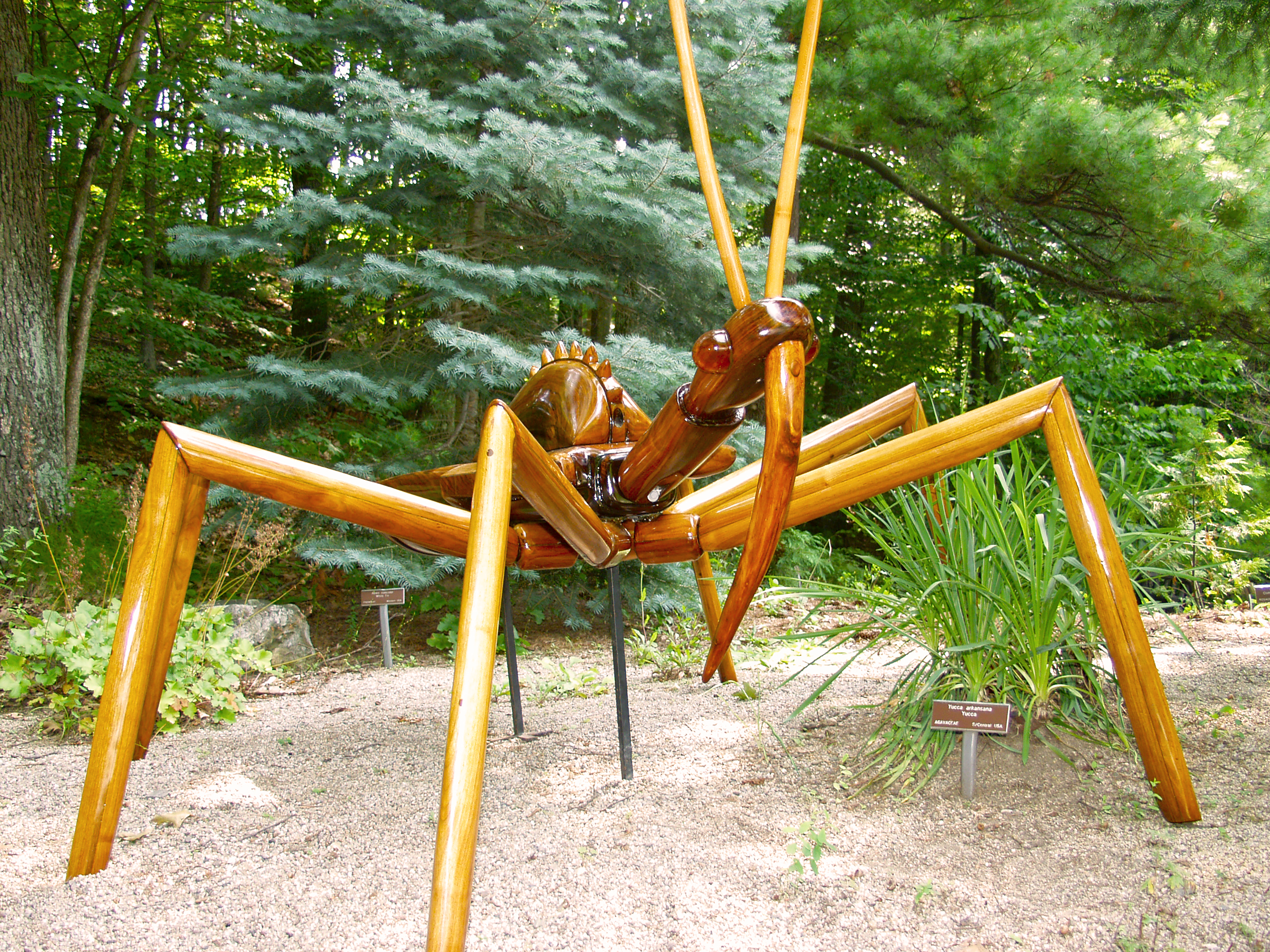Summer Exhibit: Big Bugs at Fernbank Museum of Natural History in Atlanta