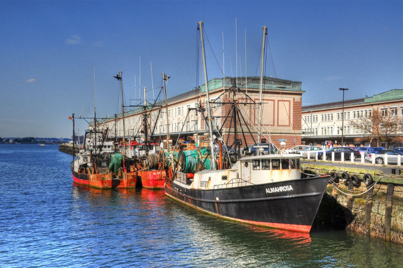 Boston Fish Pier.jpg
