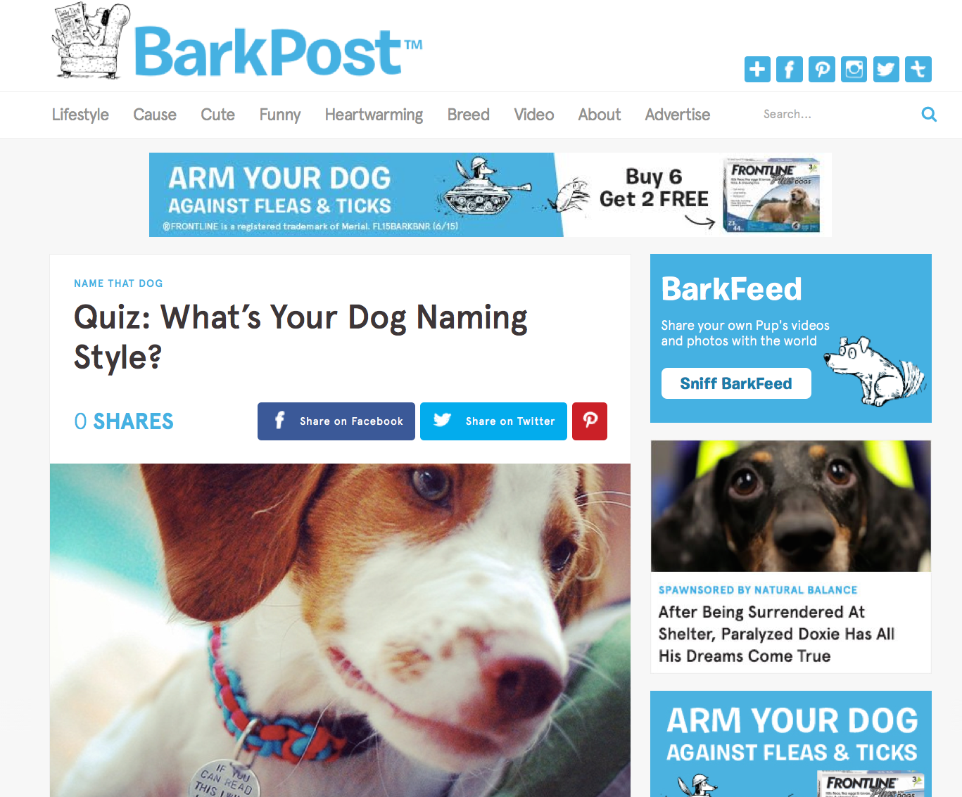 best content marketing brands